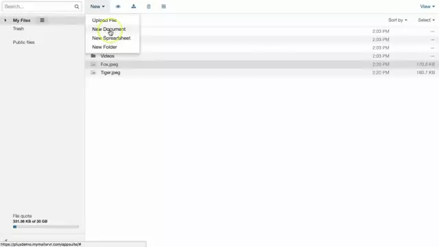 PeachWiz Cloud Drive Features